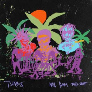 دانلود آهنگ NAV And Gunna And Travis Scott به نام Turks