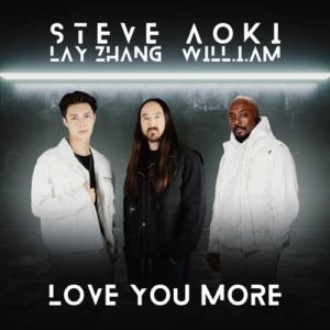 دانلود آهنگ Steve Aoki And Lay And william به نام Love You More