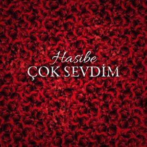 دانلود آهنگ Hasibe به نام ok Sevdim