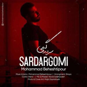دانلود آهنگ محمد بهشتی پور سردرگمی