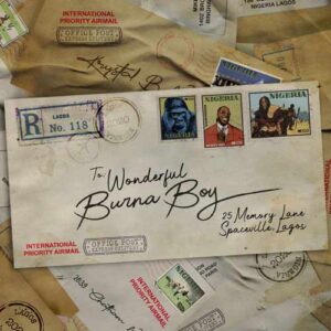 دانلود آهنگ Burna Boy به نام Wonderful