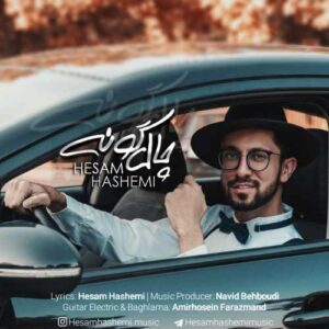 دانلود آهنگ حسام هاشمی چال گونه