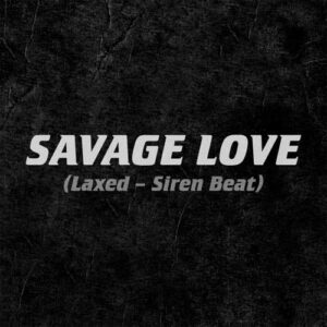 دانلود آهنگ Jawsh 685 And Jason Derulo به نام Savage Love