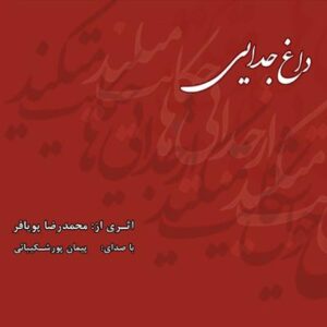 آلبوم داغ جدایی اثری از محمدرضا پویافر و پیمان پورشکیبایی