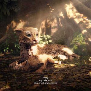 دانلود آهنگ Moby به نام My Only Love Tale of Us Anyma Remix