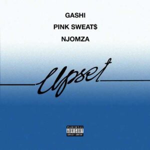 دانلود آهنگ GASHI And Pink Sweat به نام Upset