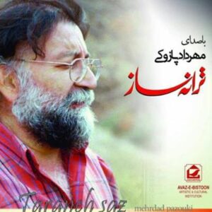 آلبوم ترانه ساز اثری از مهرداد پازوکی