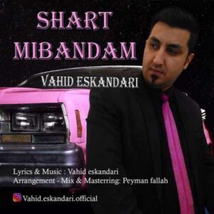دانلود آهنگ وحید اسکندری  شرط میبندم