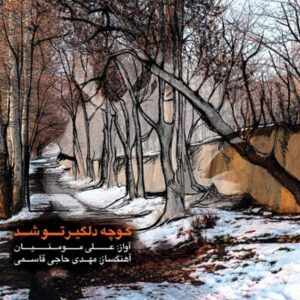 آلبوم کوچه دلگیر تو شد اثری از علی مومنیان و مهدی حاجی قاسمی