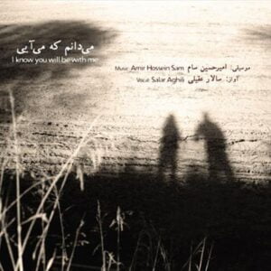 آلبوم می دانم که می آیی اثری از امیرحسین سام و سالار عقیلی