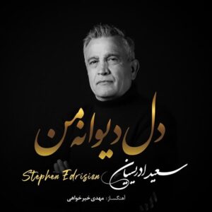 دانلود آهنگ استفن ادریسیان دل دیوانه ی من