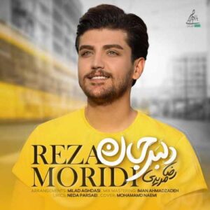 دانلود آهنگ رضا مریدی  دلبر جان