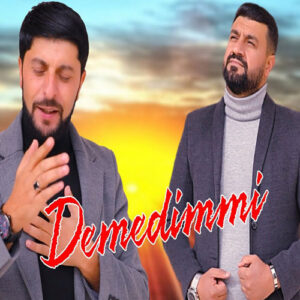 دانلود آهنگ تورال صدالی و قاسم دِمَدیمی