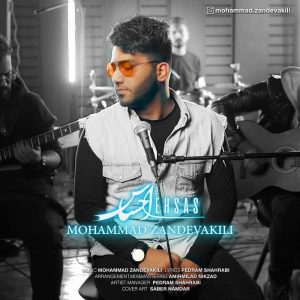 دانلود آهنگ محمد زندوکیلی احساس