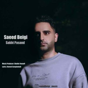 دانلود آهنگ سعید بیگی سخت پسند