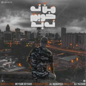 دانلود آهنگ میثم حیدری من نه خوبم نه بد