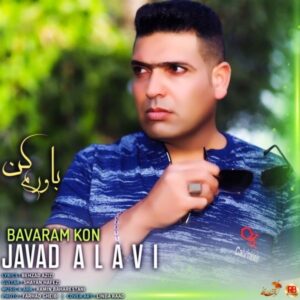 باورم کن - جواد علوی