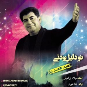 تو دلیل بودنی - حمید همت یار