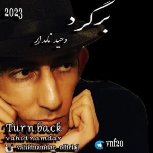 دانلود آهنگ وحید نامدار برگرد