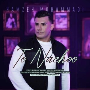 دانلود آهنگ حمزه محمدی  تو نچو
