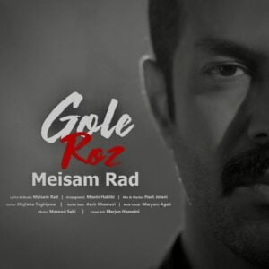 گل رز - میثم راد