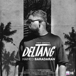 دلتنگ - حامد برادران