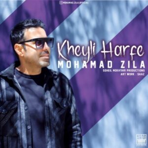خیلی حرفه - محمد زیلا