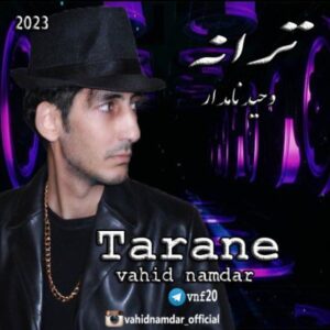ترانه - وحید نامدار