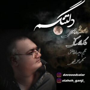 دانلود آهنگ داود شیر محمدی دلتنگم
