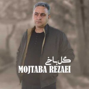 دانلود آهنگ مجتبی رضایی  گل باخی