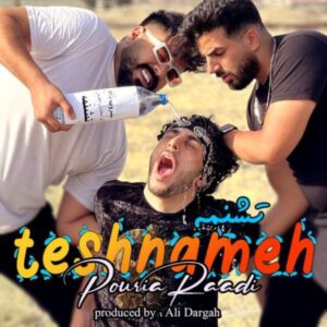 دانلود آهنگ پوریا رادی تشنمه