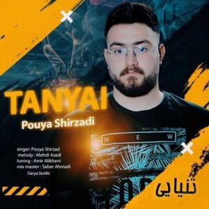دانلود آهنگ پویا شیرزادی  تنیایی