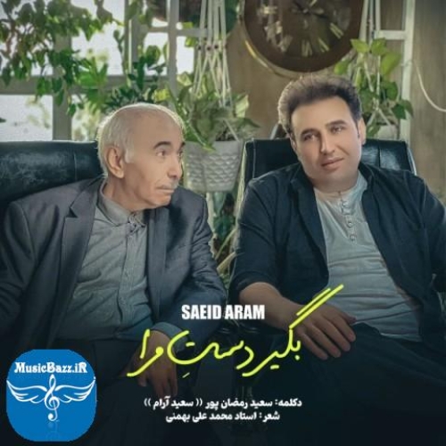 دانلود آهنگ سعید آرام بگیر دست مرا