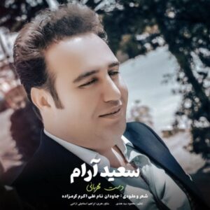 دانلود آهنگ سعید آرام دست مهربانی