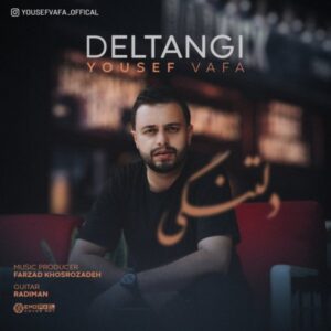دانلود آهنگ یوسف وفا دلتنگی