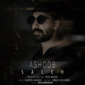 آشوب - صالح