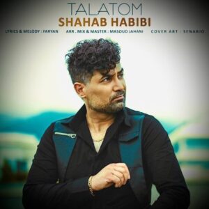 تلاطم - شهاب حبیبی