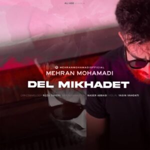 دل میخوادت - مهران محمدی