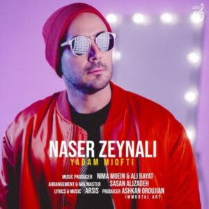 یادم میوفتی - ناصر زینعلی