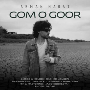 گم و گور - آرمان نبات