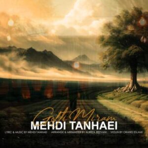 گفتی میرم - مهدی تنهایی