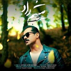 دانلود آهنگ میثم راد شب + متن آهنگ