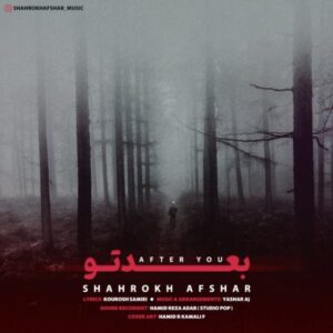 دانلود آهنگ شاهرخ افشار بعد تو