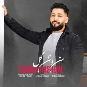 دانلود آهنگ ترکی سیامک هاشمی سن دنن گل + متن آهنگ