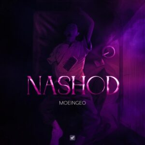 نشد - معین ژئو