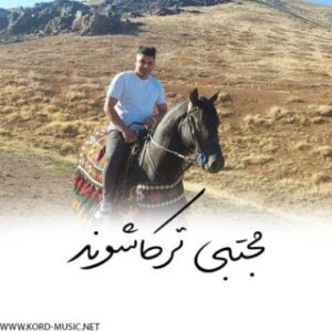 یه دوسی داشتم - مجتبی ترکاشوند