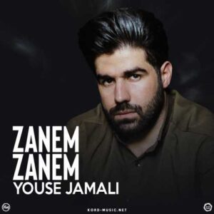 دانلود آهنگ یوسف جمالی  زانم زانم