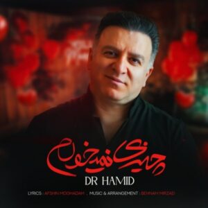 چیزی نمیخوام + متن آهنگ - دکتر حمید
