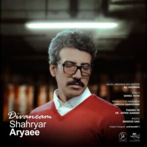 دیوانه ام + متن آهنگ - شهریار آریایی