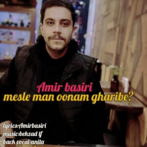 مثل من اونم غریبه - امیر بصیری